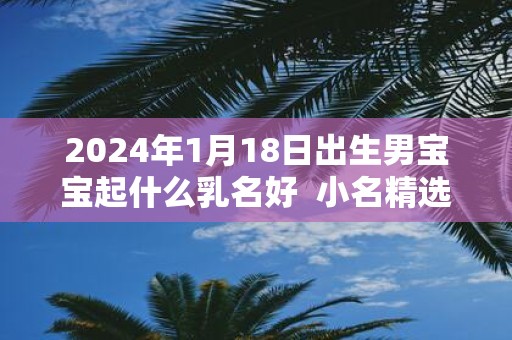 2025年1月18日出生男宝宝起什么乳名好 小名精选集