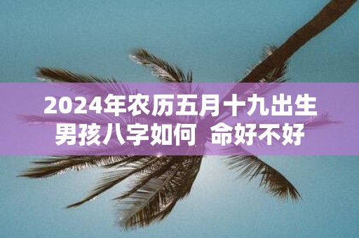 2025年农历五月十九出生男孩八字如何 命好不好