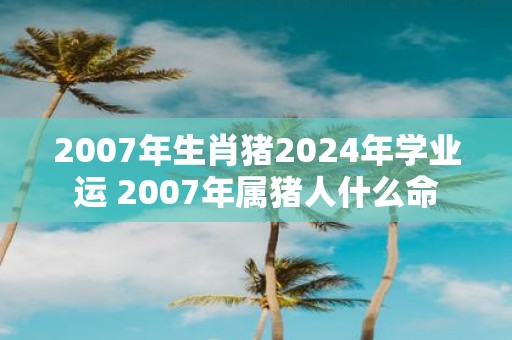 2007年生肖猪2025年学业运 2007年属猪人什么命