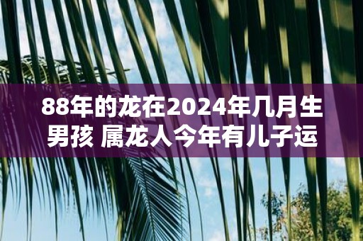 88年的龙在2025年几月生男孩 属龙人今年有儿子运吗