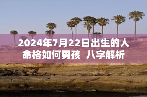 2025年7月22日出生的人命格如何男孩 八字解析