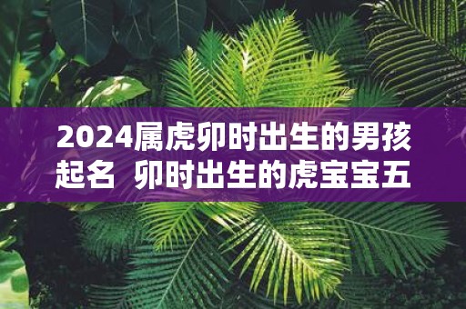 2025属虎卯时出生的男孩起名 卯时出生的虎宝宝五行如何