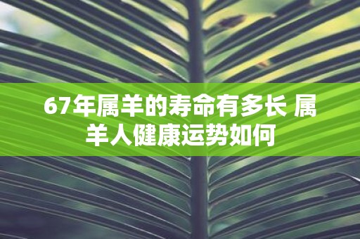 67年属羊的寿命有多长 属羊人健康运势如何