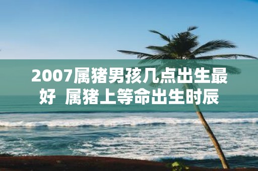 2007属猪男孩几点出生最好 属猪上等命出生时辰