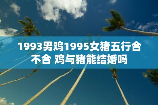 1993男鸡1995女猪五行合不合 鸡与猪能结婚吗