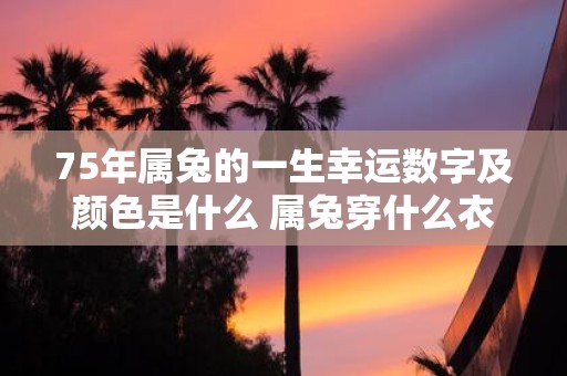 75年属兔的一生幸运数字及颜色是什么 属兔穿什么衣服好