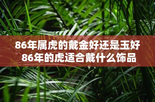 86年属虎的戴金好还是玉好 86年的虎适合戴什么饰品