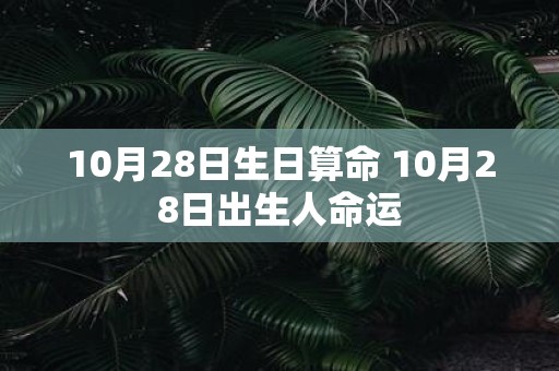 10月28日生日算命 10月28日出生人命运