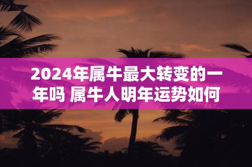 2025年属牛最大转变的一年吗 属牛人明年运势如何