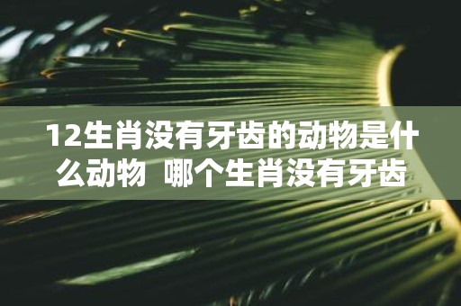12生肖没有牙齿的动物是什么动物 哪个生肖没有牙齿