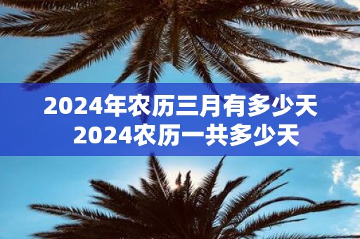 2025年农历三月有多少天 2025农历一共多少天