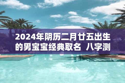 2025年阴历二月廿五出生的男宝宝经典取名 八字测算