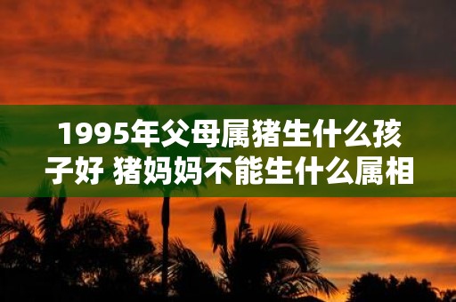 1995年父母属猪生什么孩子好 猪妈妈不能生什么属相