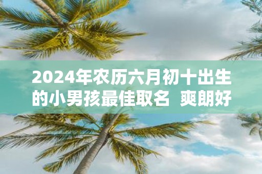 2025年农历六月初十出生的小男孩最佳取名 爽朗好听的名字