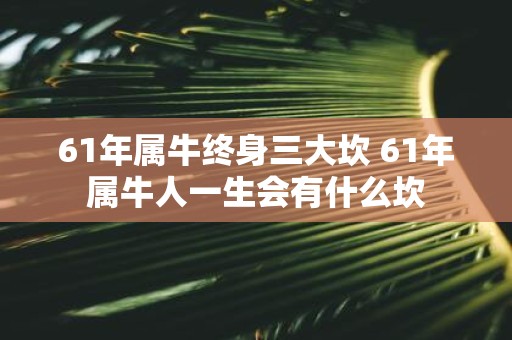 61年属牛终身三大坎 61年属牛人一生会有什么坎