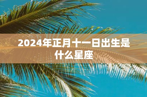 2025年正月十一日出生是什么星座