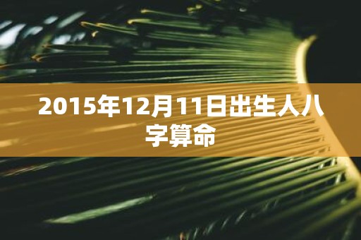 2015年12月11日出生人八字算命