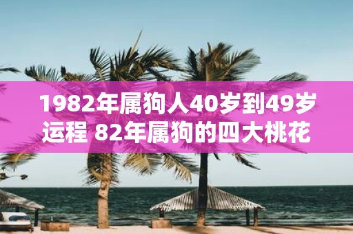 1982年属狗人40岁到49岁运程 82年属狗的四大桃花年