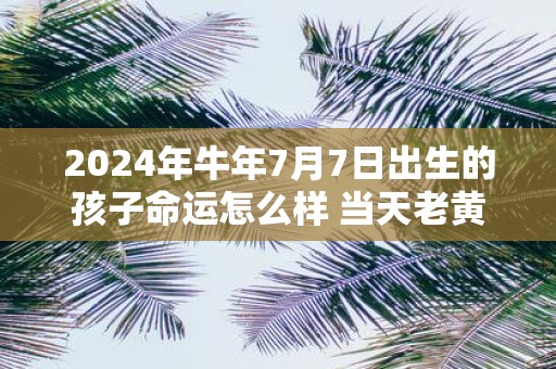 2025年牛年7月7日出生的孩子命运怎么样 当天老黄历查询