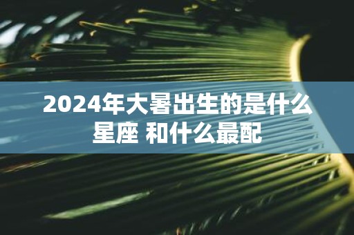 2025年大暑出生的是什么星座 和什么最配