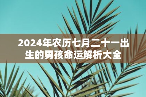 2025年农历七月二十一出生的男孩命运解析大全