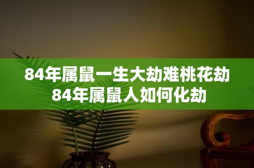 84年属鼠一生大劫难桃花劫 84年属鼠人如何化劫