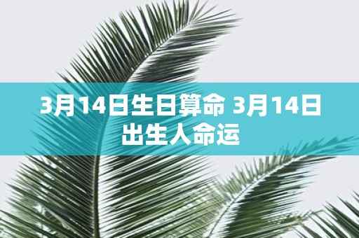 3月14日生日算命 3月14日出生人命运