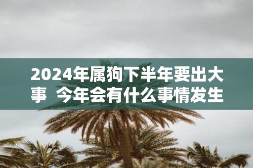 2025年属狗下半年要出大事 今年会有什么事情发生