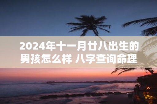 2025年十一月廿八出生的男孩怎么样 八字查询命理