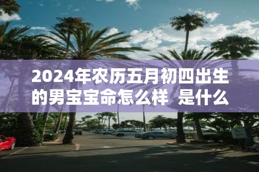 2025年农历五月初四出生的男宝宝命怎么样 是什么命