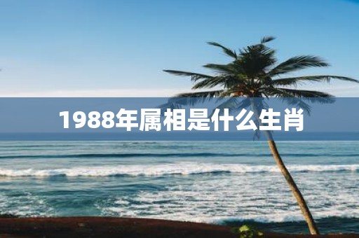 1988年属相是什么生肖