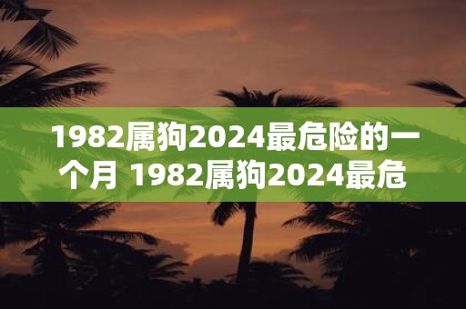 1982属狗2025最危险的一个月 1982属狗2025最危险的月份是哪个