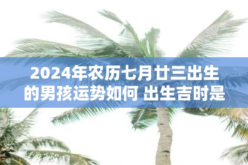 2025年农历七月廿三出生的男孩运势如何 出生吉时是什么
