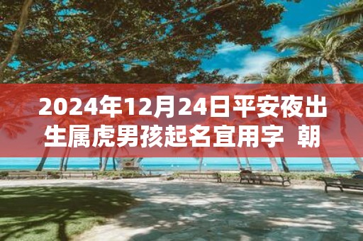 2025年12月24日平安夜出生属虎男孩起名宜用字 朝气蓬勃的名字