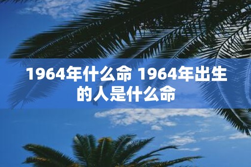 1964年什么命 1964年出生的人是什么命 1964年什么命 1964年出生的人是什么命