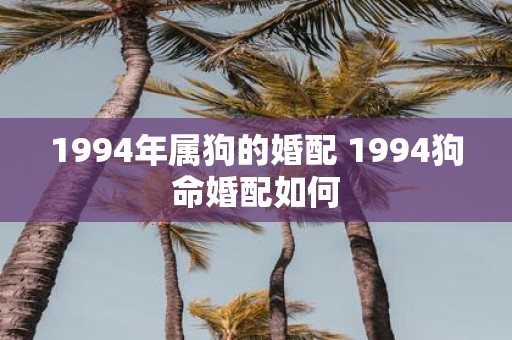 1994年属狗的婚配 1994狗命婚配如何