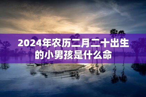 2025年农历二月二十出生的小男孩是什么命