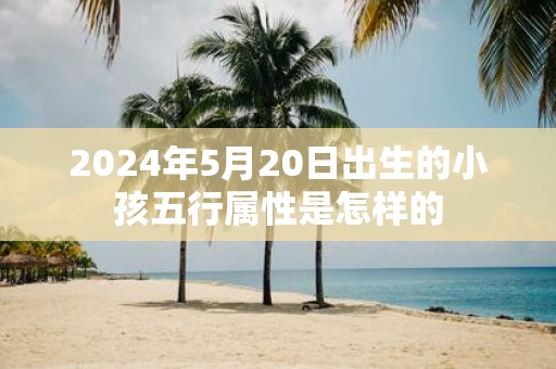 2025年5月20日出生的小孩五行属性是怎样的
