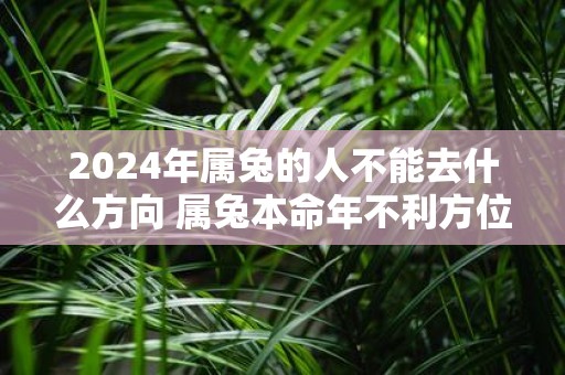 2025年属兔的人不能去什么方向 属兔本命年不利方位