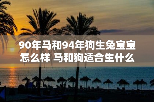 90年马和94年狗生兔宝宝怎么样 马和狗适合生什么属相的宝宝
