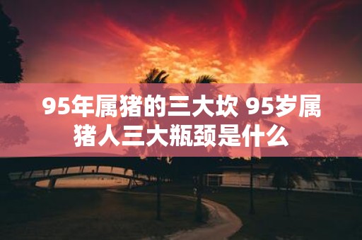 95年属猪的三大坎 95岁属猪人三大瓶颈是什么