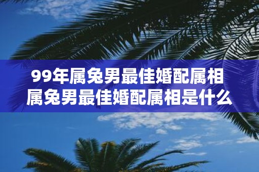 99年属兔男最佳婚配属相 属兔男最佳婚配属相是什么