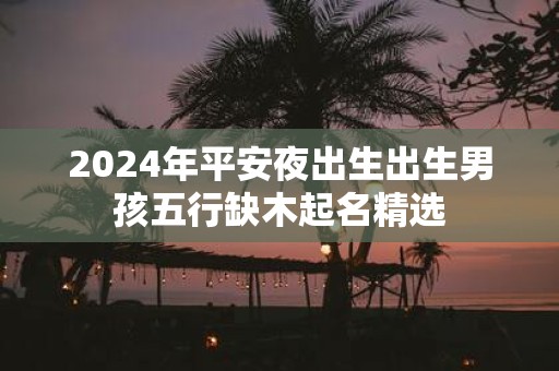 2025年平安夜出生出生男孩五行缺木起名精选