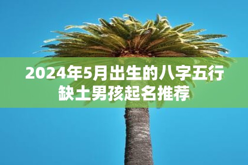 2025年5月出生的八字五行缺土男孩起名推荐