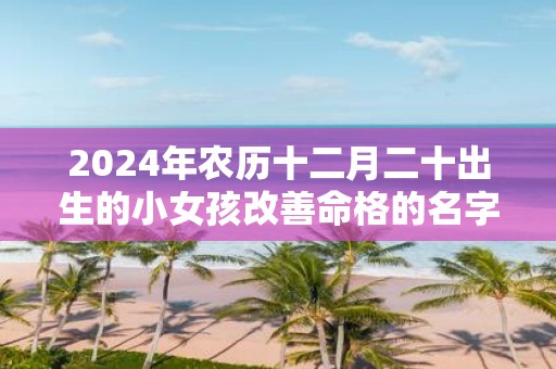 2025年农历十二月二十出生的小女孩改善命格的名字