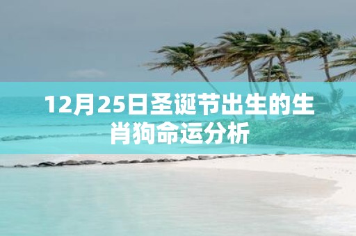 12月25日圣诞节出生的生肖狗命运分析