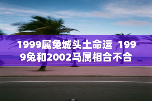 1999属兔城头土命运 1999兔和2002马属相合不合