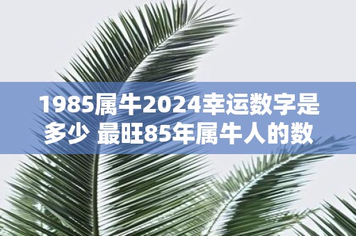 1985属牛2025幸运数字是多少 最旺85年属牛人的数字
