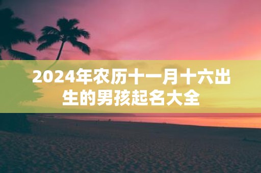 2025年农历十一月十六出生的男孩起名大全