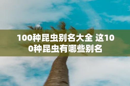 100种昆虫别名大全 这100种昆虫有哪些别名